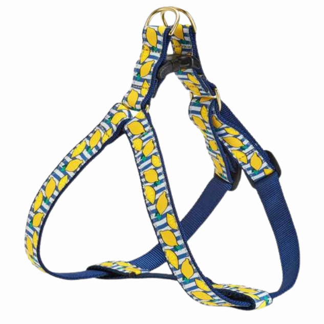 Harness | Make Lemonade