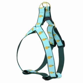 Harness | Pineapple