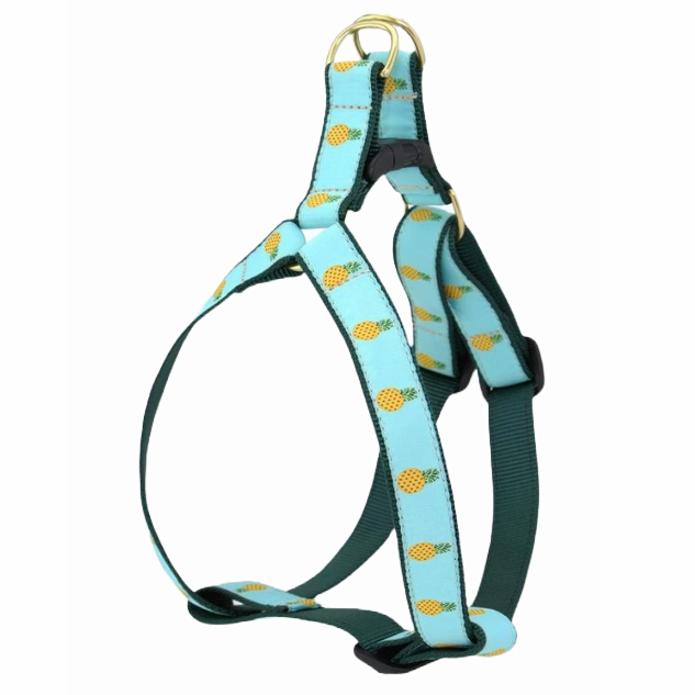 Harness | Pineapple