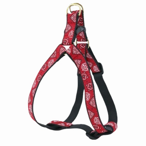 Harness | Red Bandana