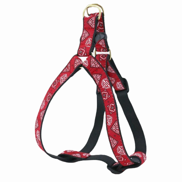 Harness | Red Bandana