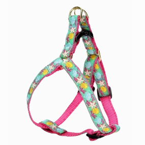 Harness | Reef