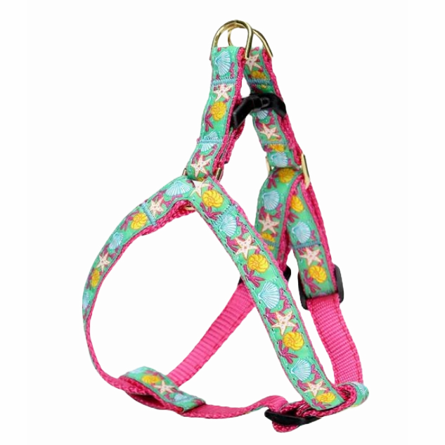 Harness | Reef