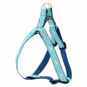 Harness | Sharks