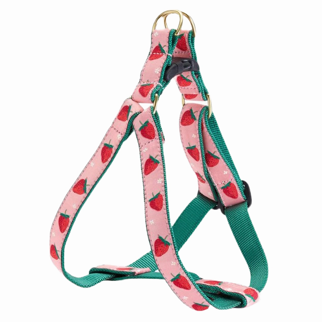 Harness | Strawberry Fields