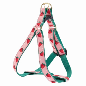 Harness | Strawberry Fields