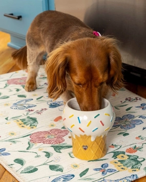 I Scream for Ice Cream Elevated Pet Food Bowl