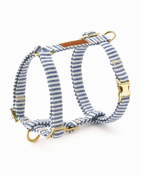 Lake Blue Stripe Dog Harness