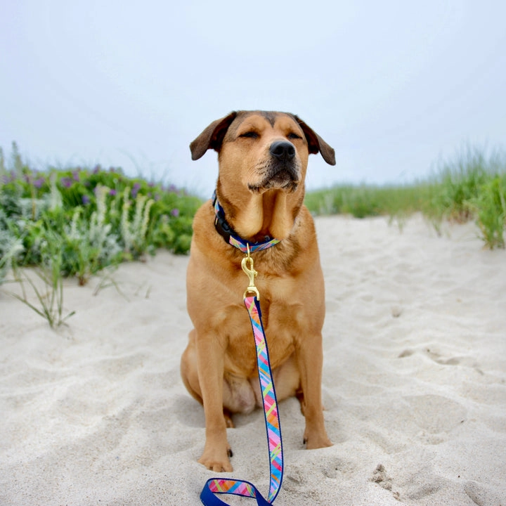 Leash | Pink Madras