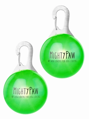 LED Safety Lights (2pk)