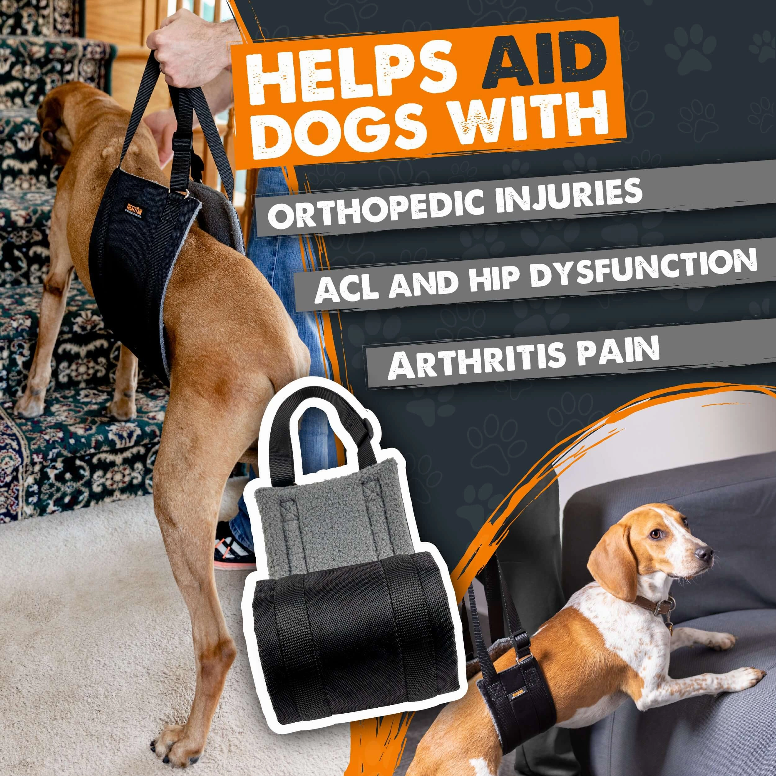 Lift Harness for Hind Legs