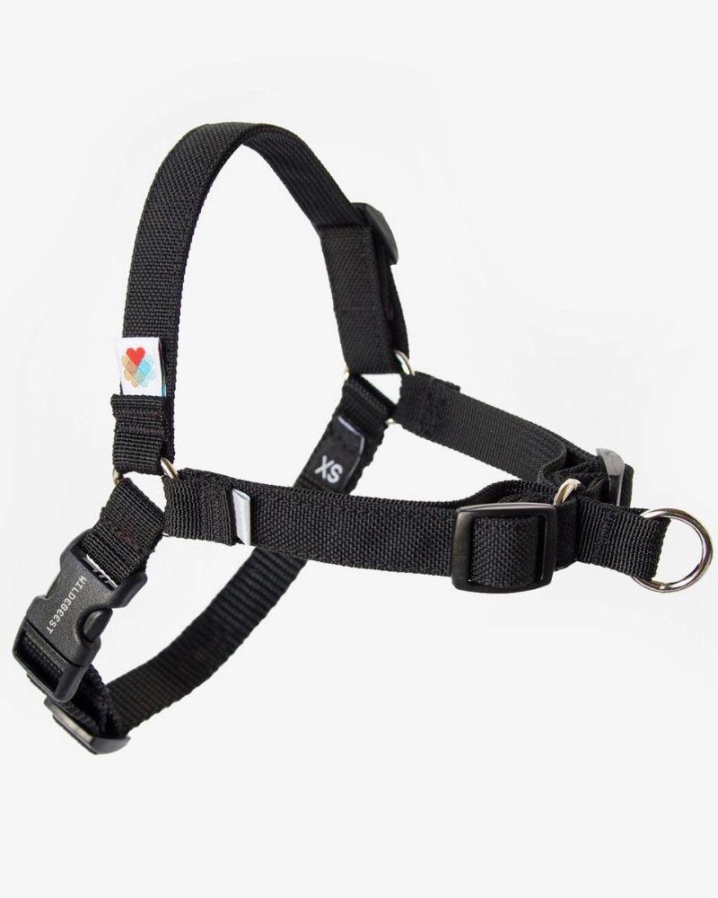 Linden No Pull Front Clip Dog Harness
