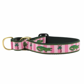 Martingale Collar | Alligator