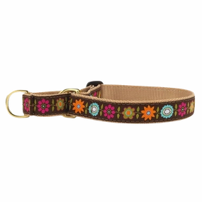 Martingale Collar | Bella Floral