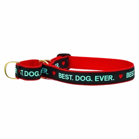 Martingale Collar | Best. Dog. Ever.