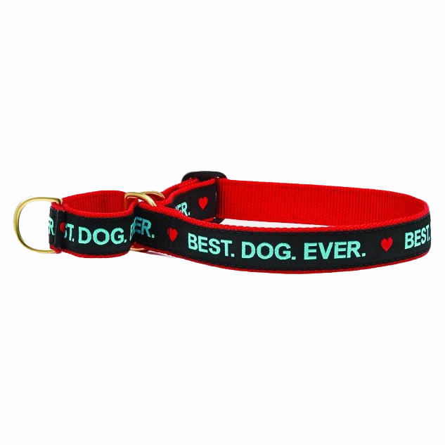 Martingale Collar | Best. Dog. Ever.