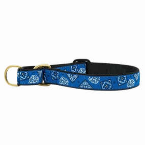 Martingale Collar | Blue Bandana