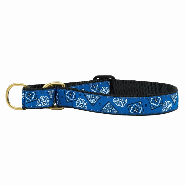 Martingale Collar | Blue Bandana