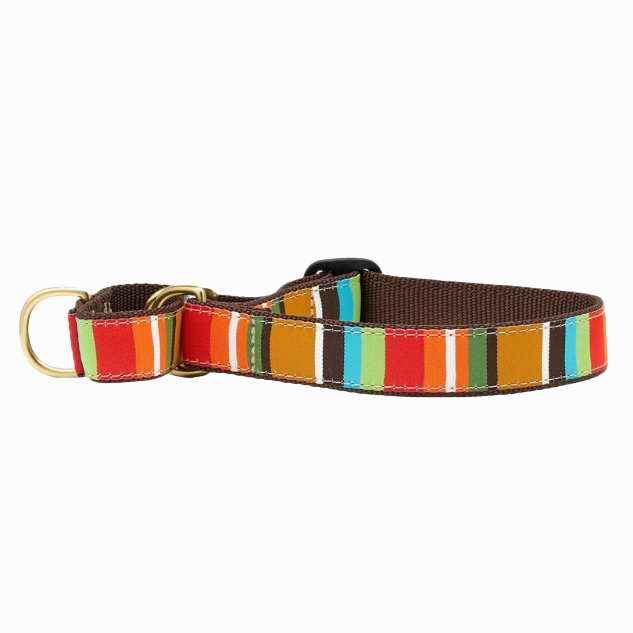 Martingale Collar | Brown Stripe
