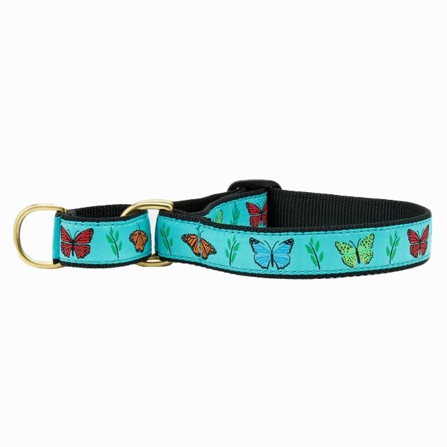 Martingale Collar | Butterfly Effect