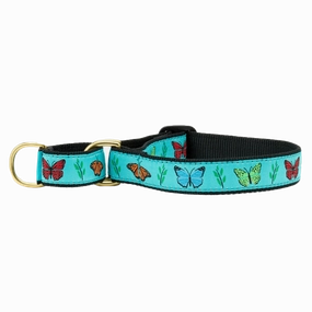Martingale Collar | Butterfly Effect