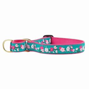 Martingale Collar | Cherry Blossom