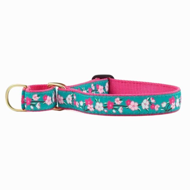 Martingale Collar | Cherry Blossom