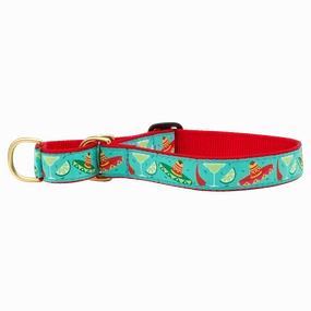 Martingale Collar | Cinco De Mayo