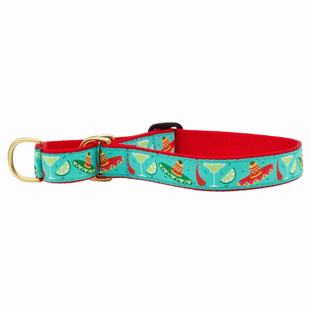 Martingale Collar | Cinco De Mayo