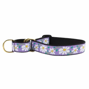 Martingale Collar | Daisy