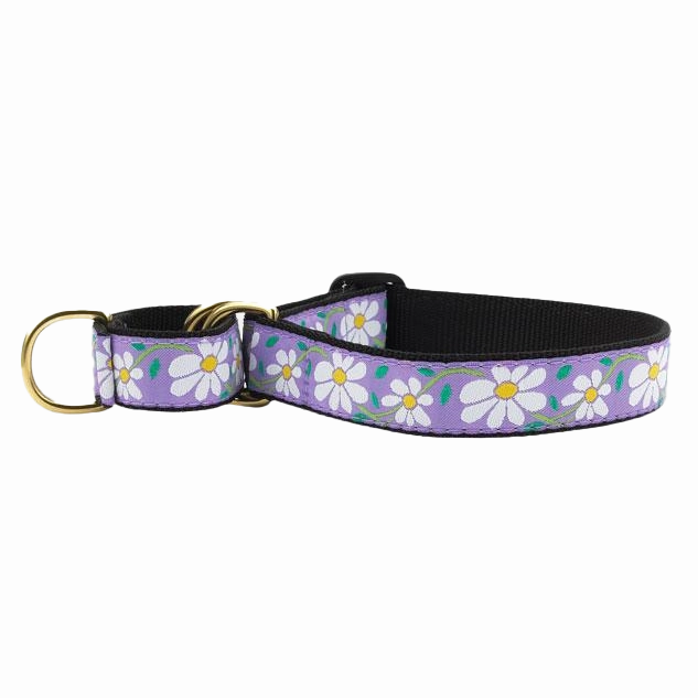 Martingale Collar | Daisy