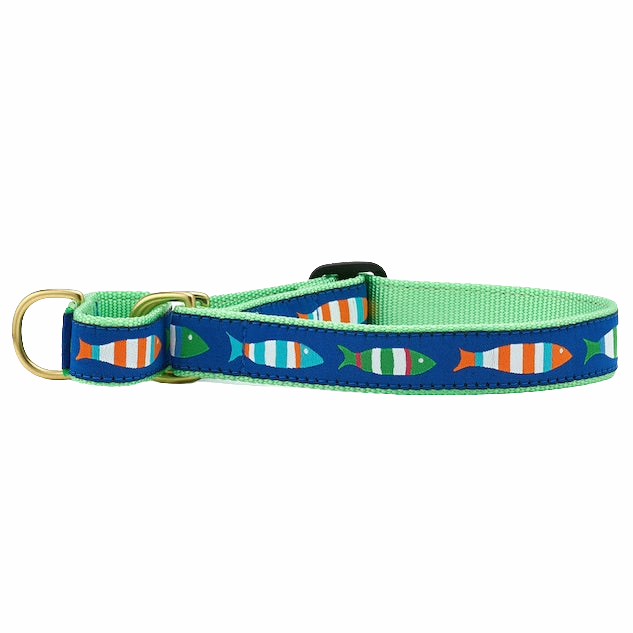 Martingale Collar | Funky Fish
