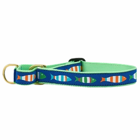 Martingale Collar | Funky Fish