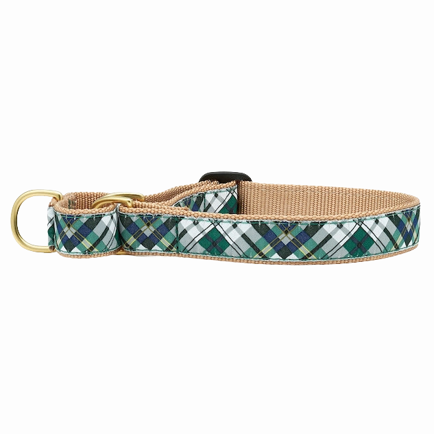Martingale Collar | Gordon Plaid