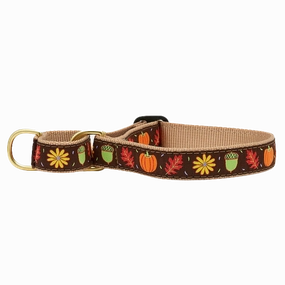 Martingale Collar | Harvest Time