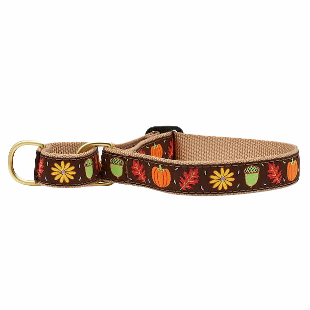 Martingale Collar | Harvest Time