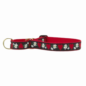 Martingale Collar | Hearts & Flowers