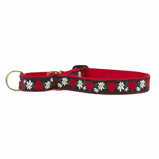 Martingale Collar | Hearts & Flowers