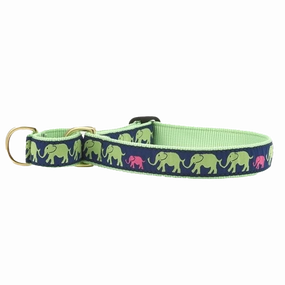 Martingale Collar | Leader Of The Pach