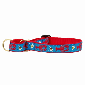 Martingale Collar | Lobster & Buoy