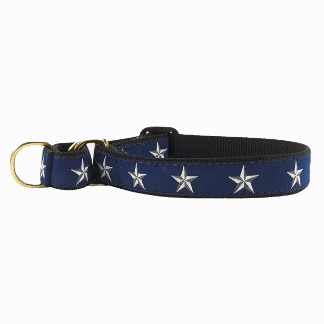 Martingale Collar | North Star
