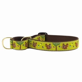 Martingale Collar | Nuts!
