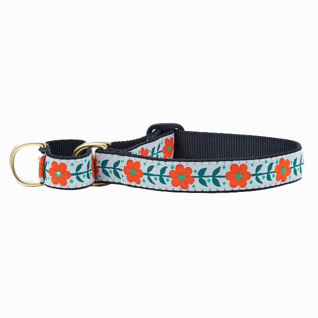 Martingale Collar | Orange You Pretty