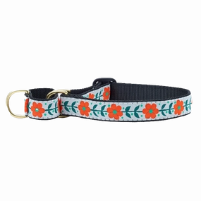 Martingale Collar | Orange You Pretty