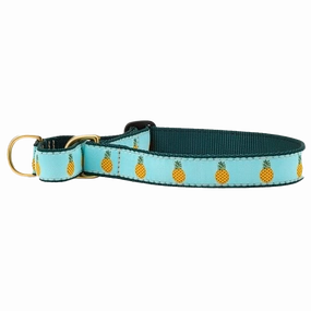 Martingale Collar | Pineapple