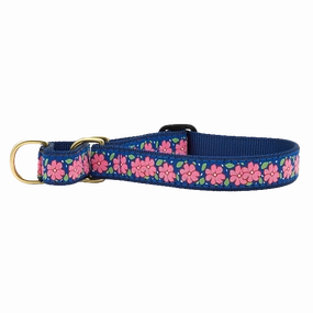 Martingale Collar | Pink Garden