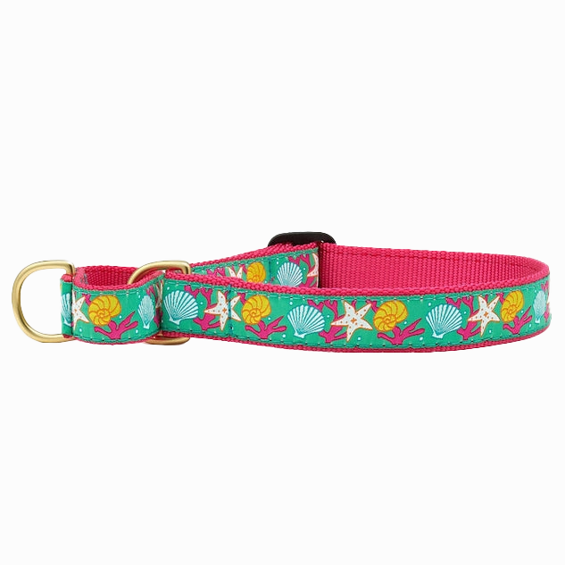 Martingale Collar | Reef