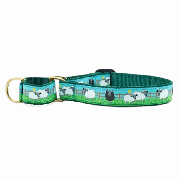Martingale Collar | Sleepy Sheep