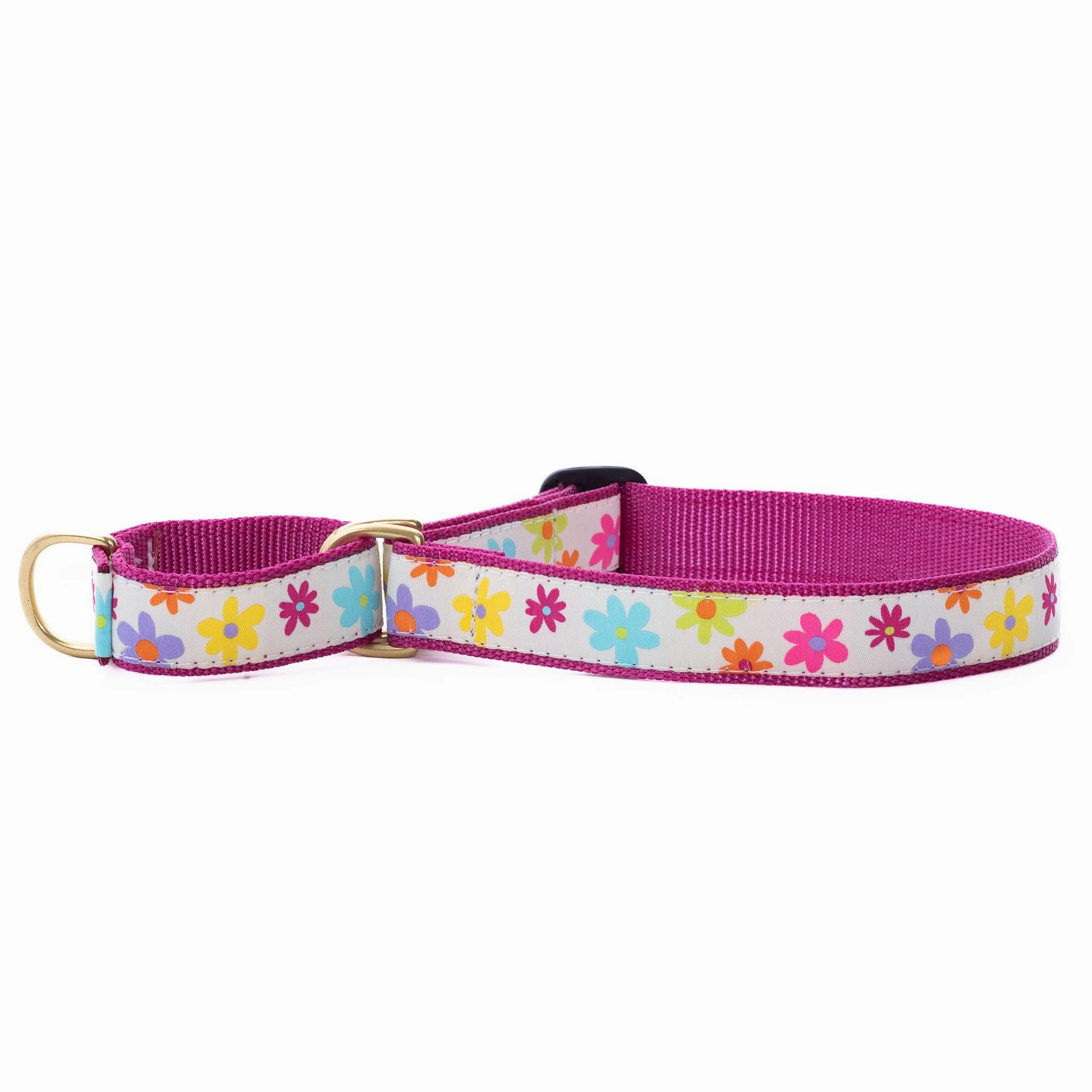 Martingale Collar | Spring Fever