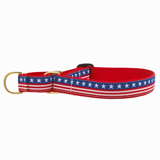 Martingale Collar | Stars & Stripes